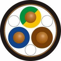 LI6YC6Y-O/J 3 x 2,5 BK